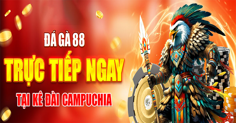 Đá gà 88 có rất nhiều ưu điểm nên thú hút đông đảo người chơi